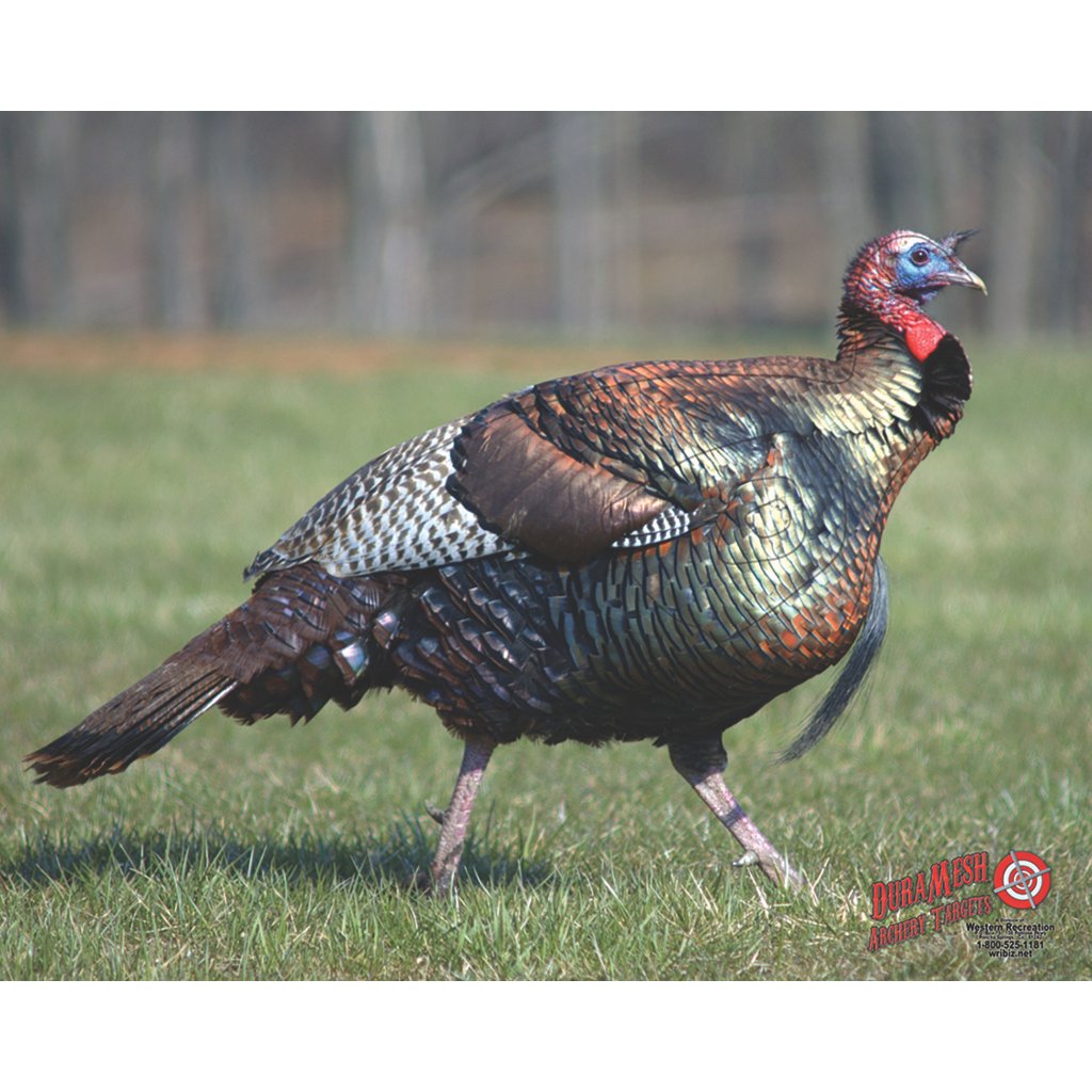 DuraMesh Archery Target Turkey 25 in. x 32 in.