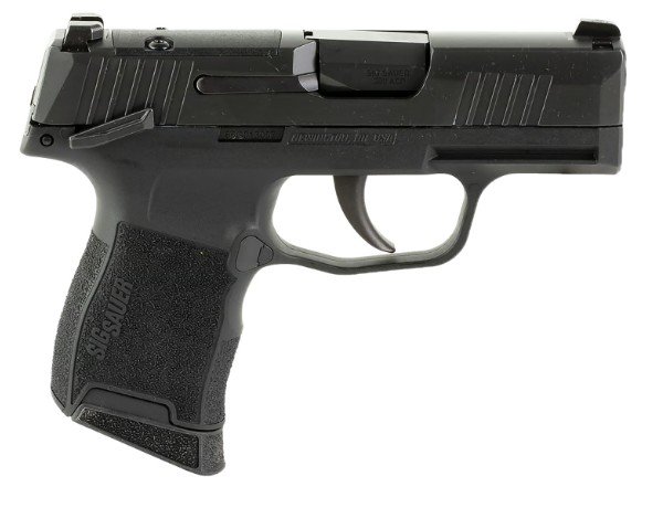 P365 380 ACP 3.1" Blk MS (2) 10-rd *MA