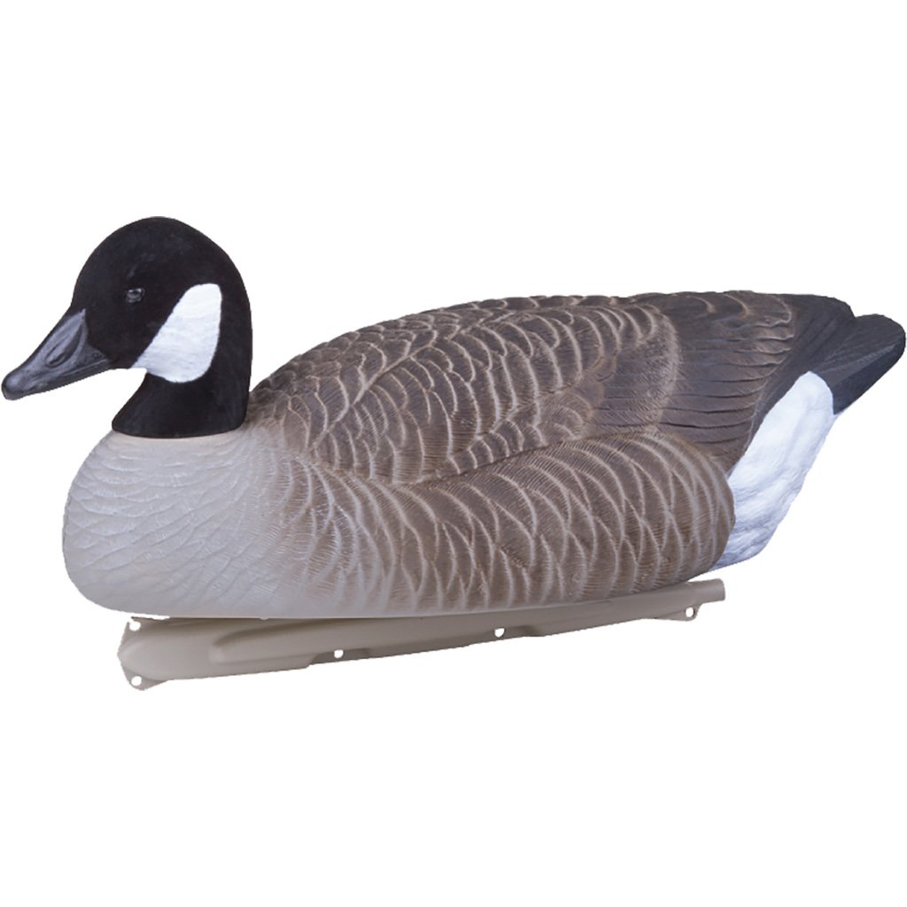 Flambeau Water Pack Canada Goose Decoy 4 pk.