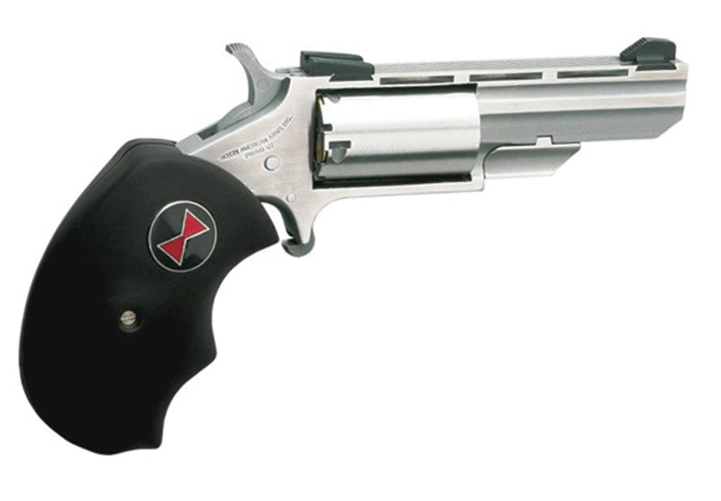 Mini Black Widow 22LR 2"VR S FS
