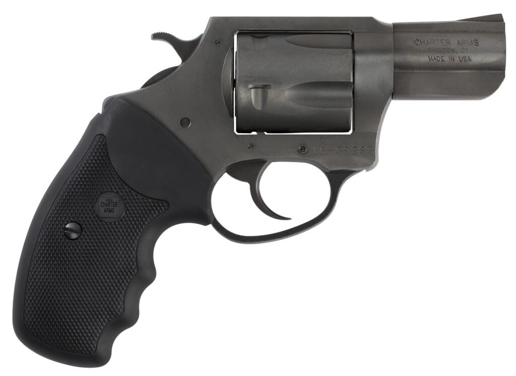 CHARTER ARMS CHARTER PITBULL 40SW NIT 2" FS
