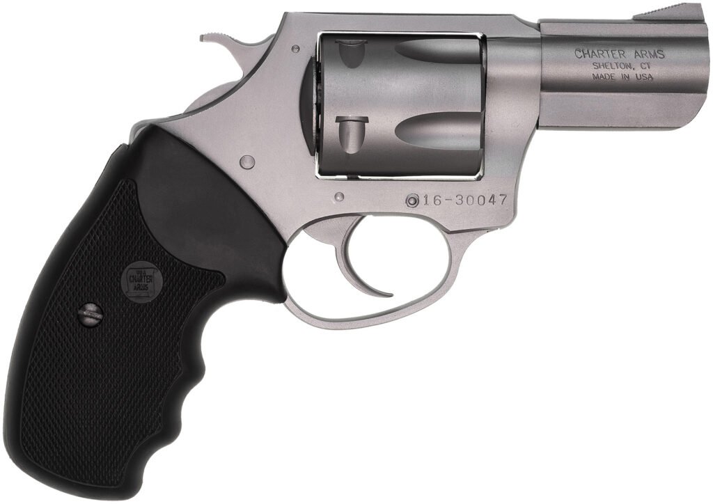 CHARTER ARMS CHARTER PITBULL 40S&W SS 2.3"
