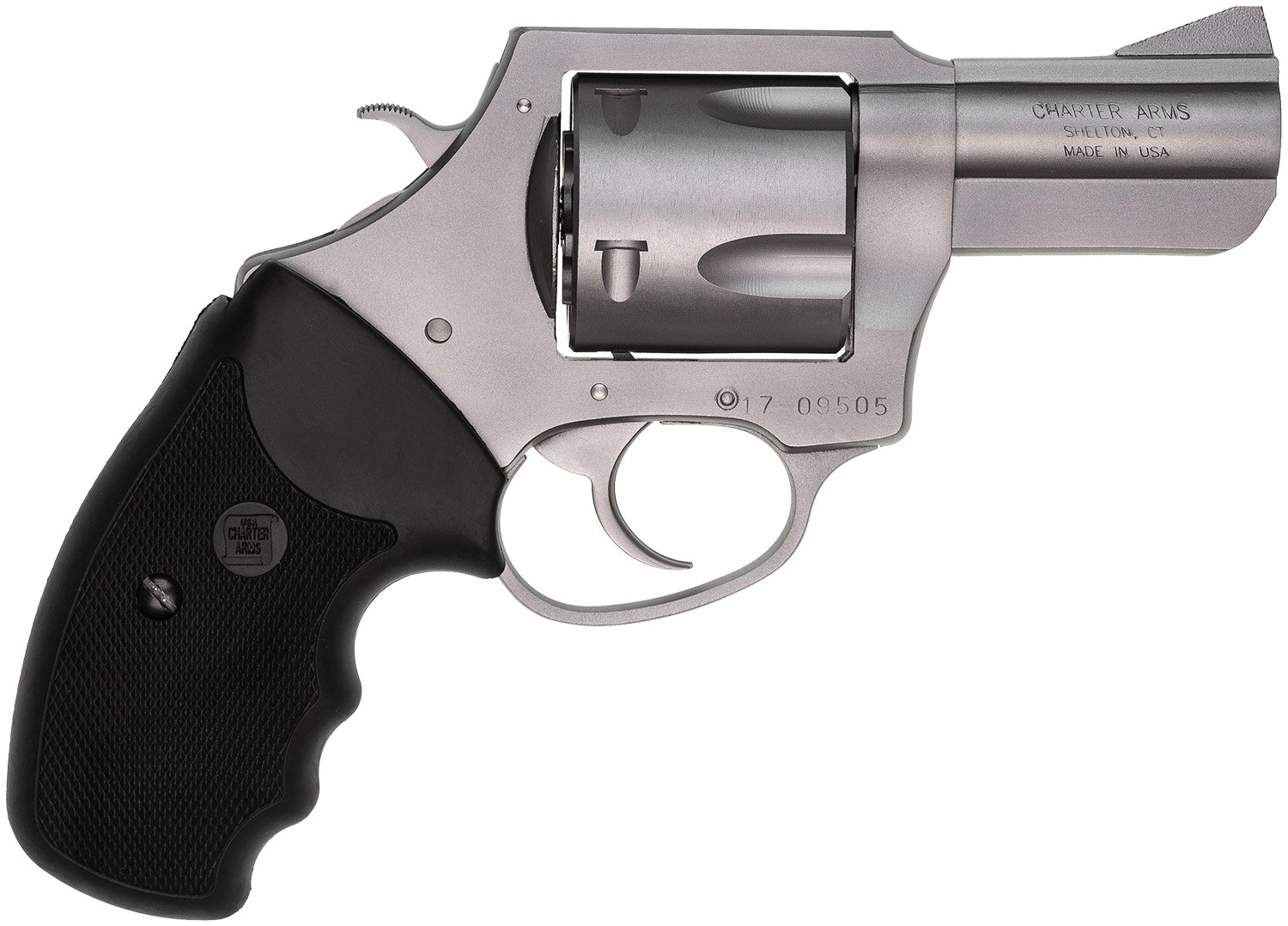 CHARTER ARMS CHARTER PITBULL 45ACP SS 2.5"