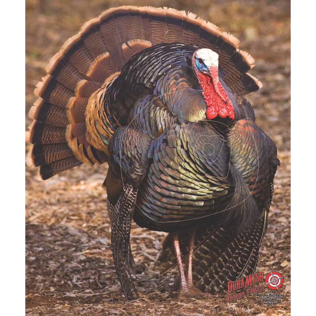 DuraMesh Archery Target Turkey 3 32 in. x 25 in.