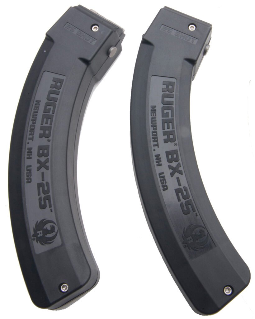 RUG MAG 10/22 22LR 25RD 2-PACK