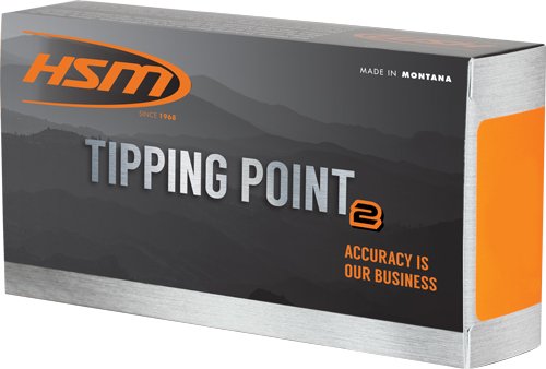 HSM 6MM CM 95GR SST 20RD - 25BX/CS