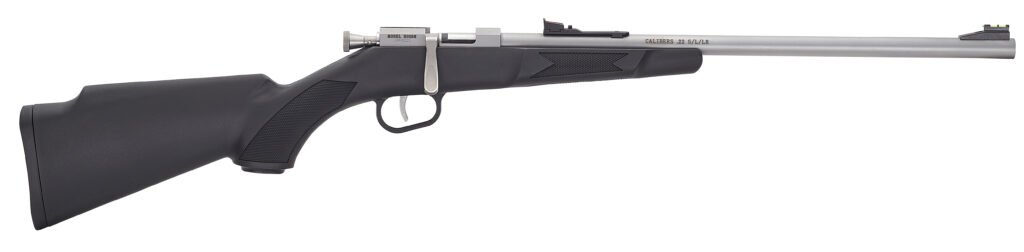 HEN MINI BOLT G2 22LR SNG SS