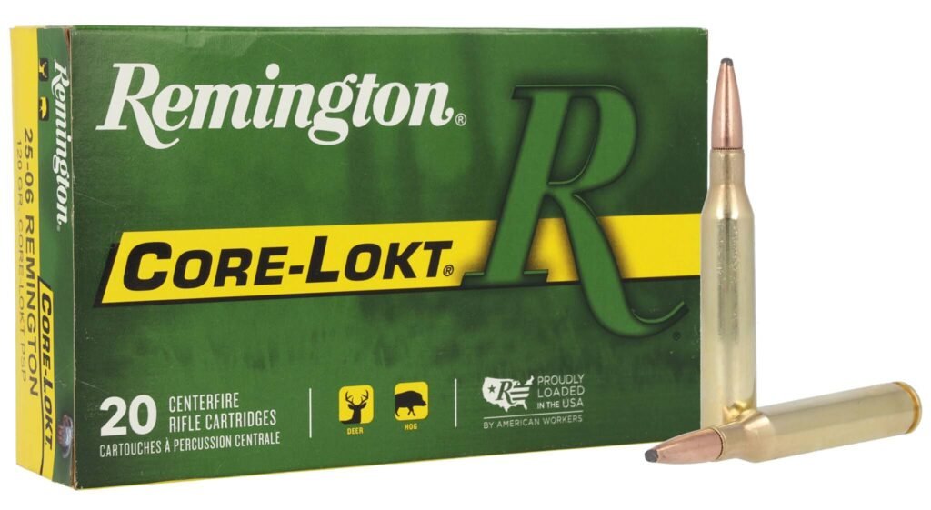 REM 25-06 120GR CORE PSP 20RD