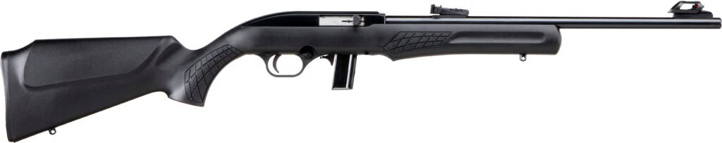 BRZ ROSSI RS22 22LR RFL 18B 10