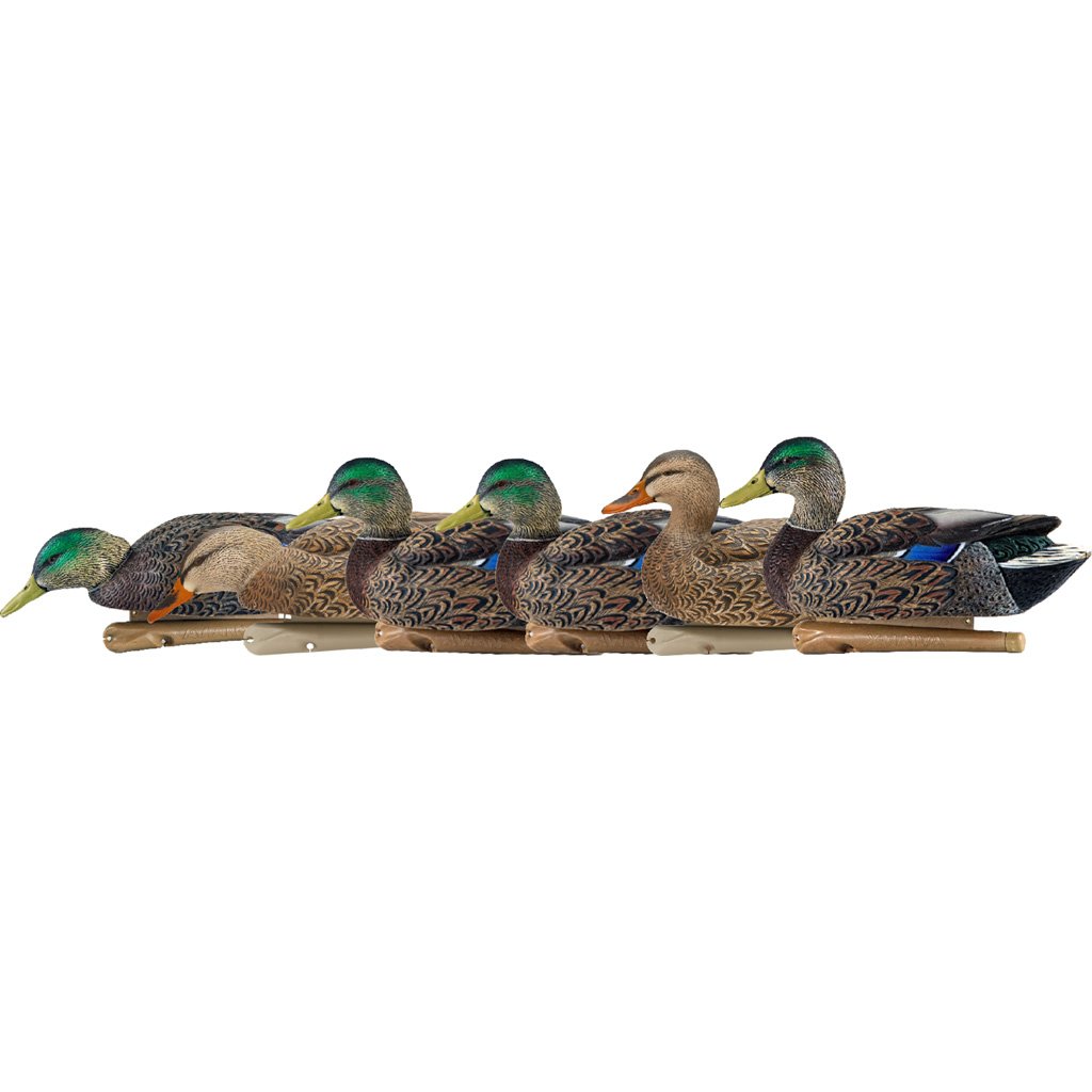 Avian X Top Flight Duck Decoys Early Season Mallards 6 pk.
