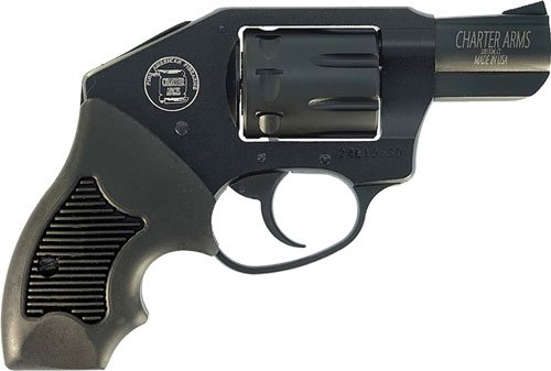 CHARTER ARMS THE WALKER 22 MAG - 8-SHOT RUBBER GRIPS BLACK